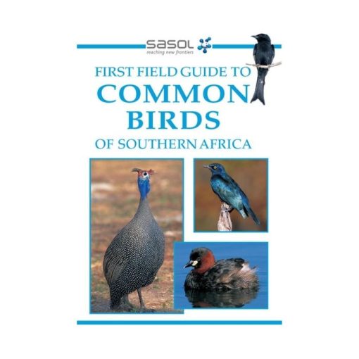 Sasol First Field Guide to Common Birds of Southern Africa