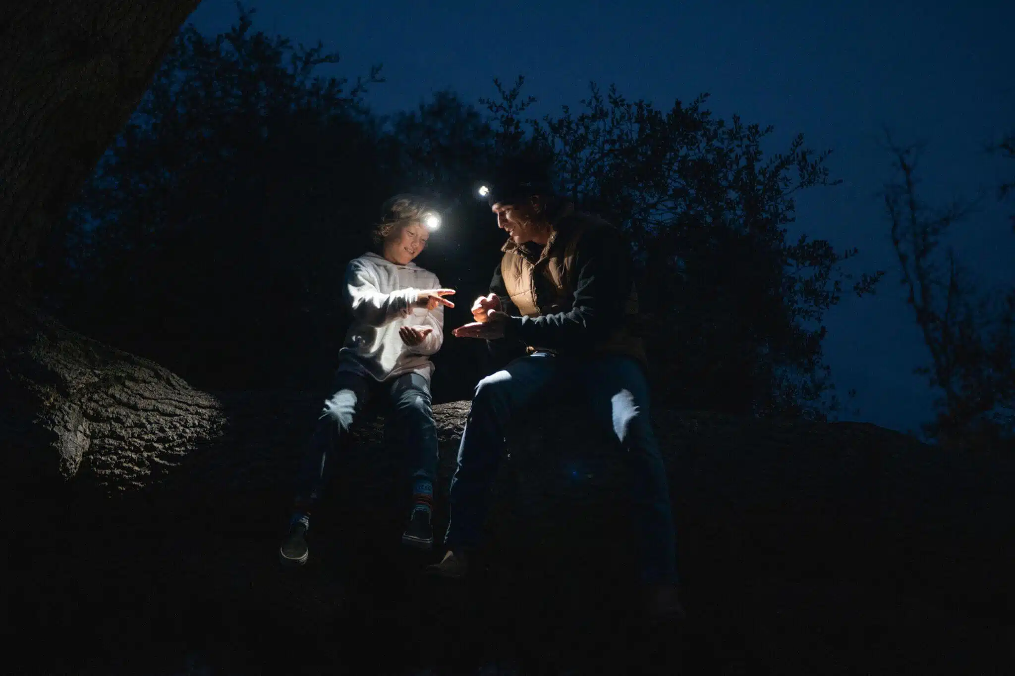 Petzl Headlamp