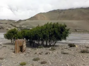 Camping Toilet