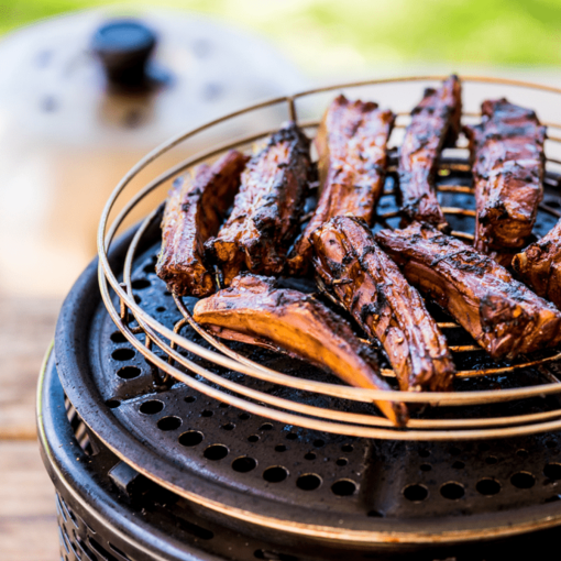 Cobb Premier Cooker