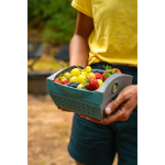 Coghlan's Snapfold Mini Colander
