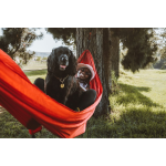 First Ascent Lightweight Hammock Double