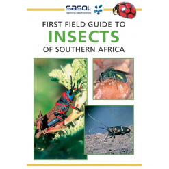 Sasols First Field Guide: Insects of Southern Africa