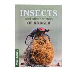 Nature Now: Insects Other Critt