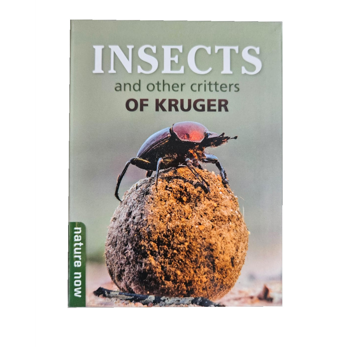 Nature Now: Insects Other Critt