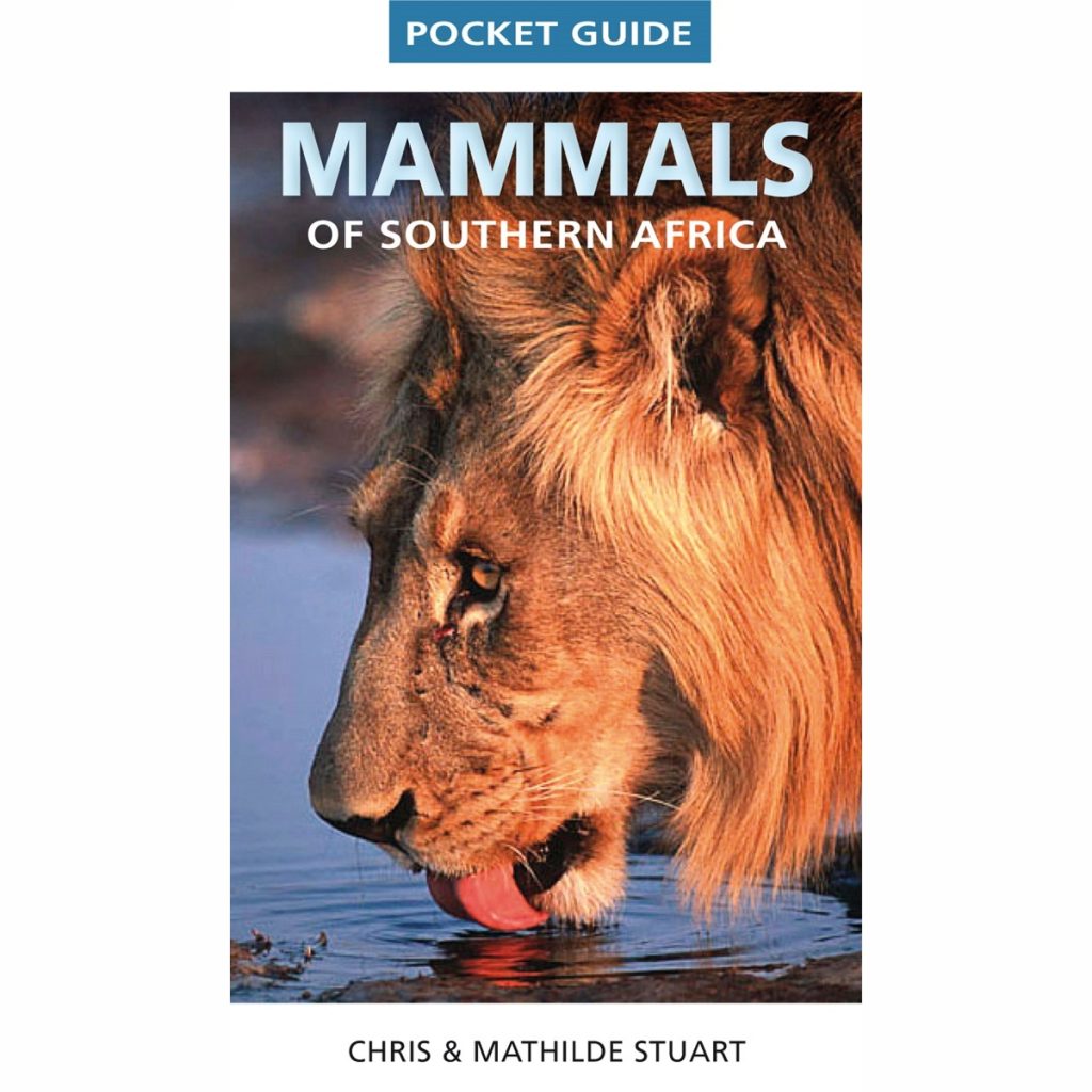 Mammals of Southern Africa Pocket Guide - Chris & Mathilde Stuart