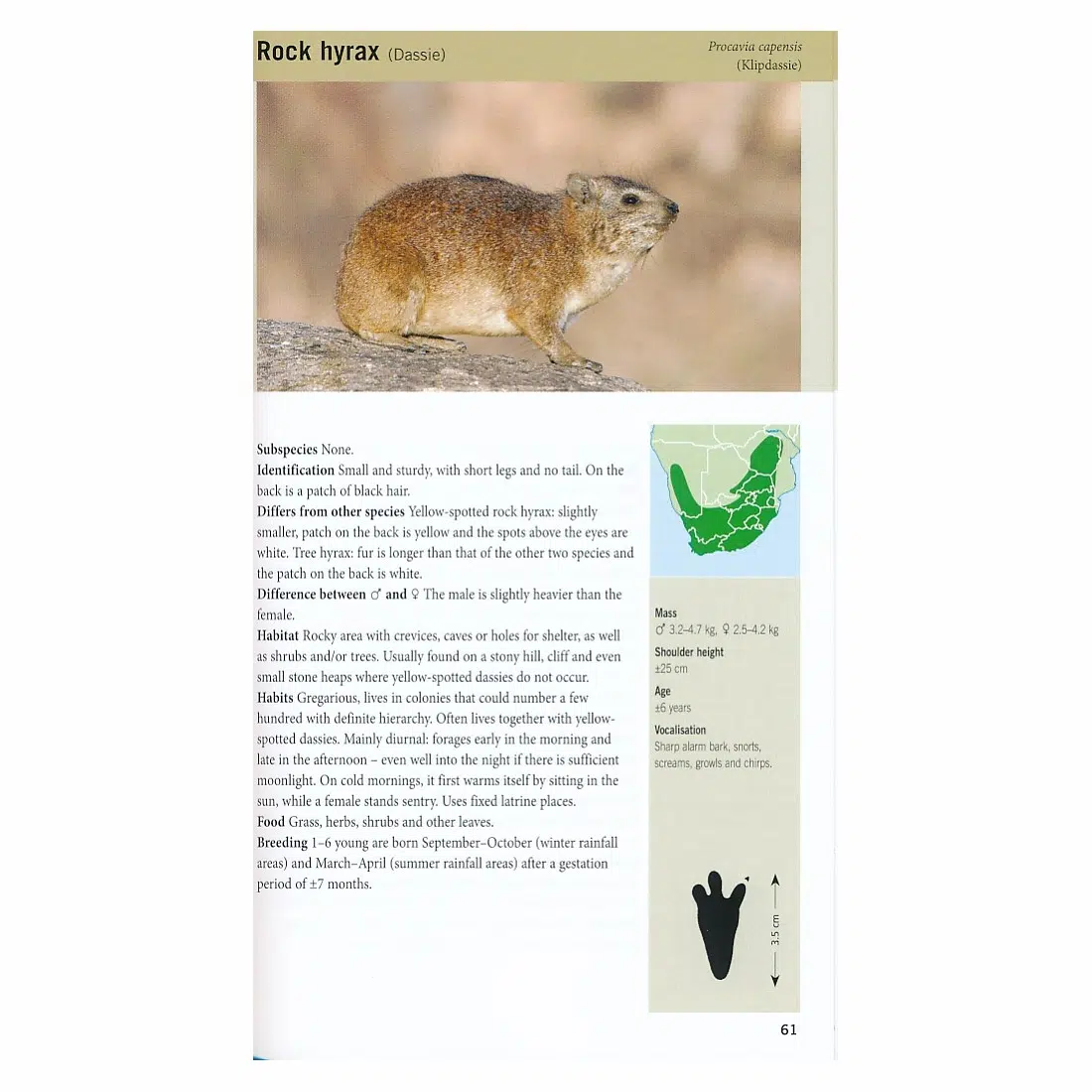 Mammals of Southern Africa Pocket Guide - Chris & Mathilde Stuart