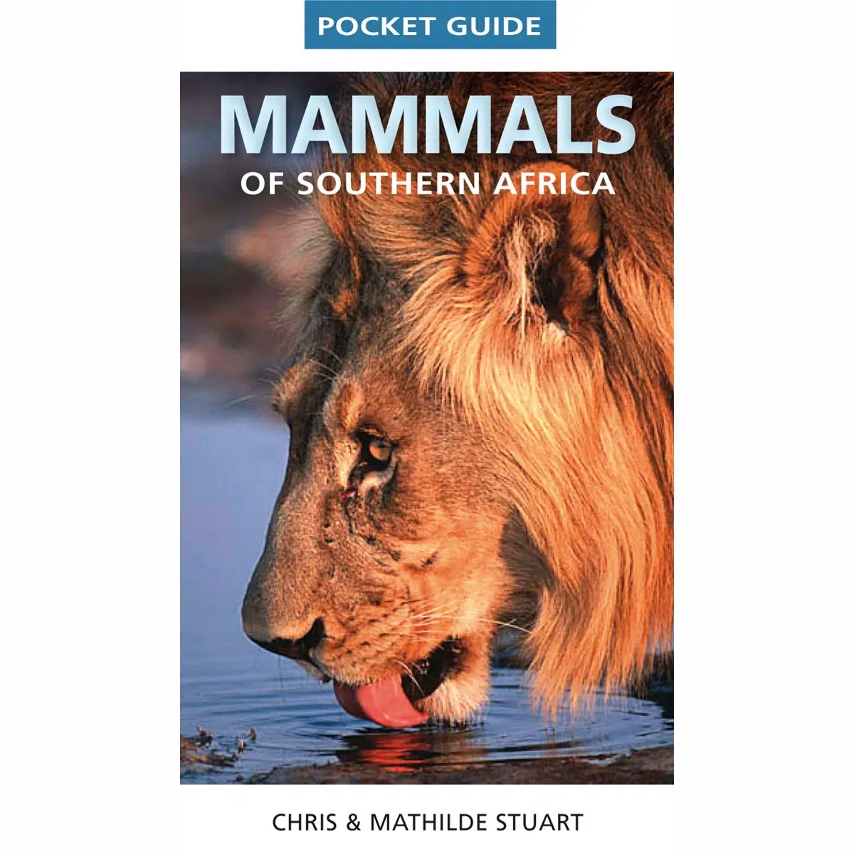 Mammals of Southern Africa - Stuart