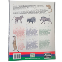 SA Mammals: My First Book - Peter Apps