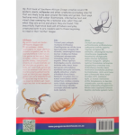 SA Creepy-Crawlies: My First Book - Charmaine Uys