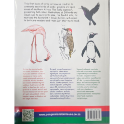 SA Birds Vol 1: My First Book - Erroll Cuthbert