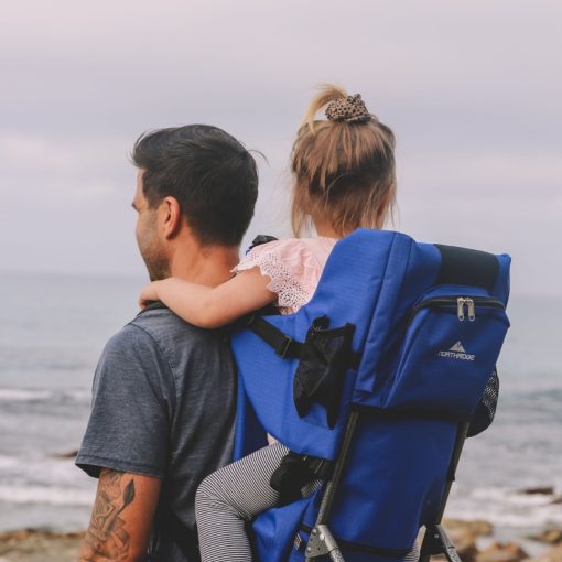 North Ridge Papoose Baby Carrier
