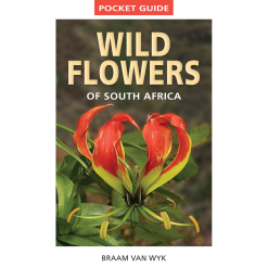 Pocketguide Wildflowers of South Africa Van Wyk