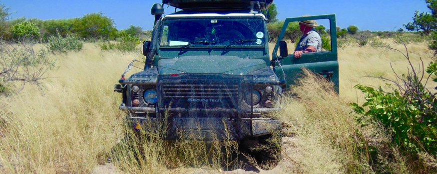 4x4 radiator seed net