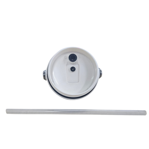 Stanley Flip Straw