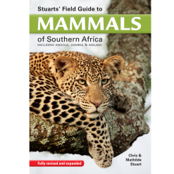 Mammals of Southern Africa Incl Angola Zambia