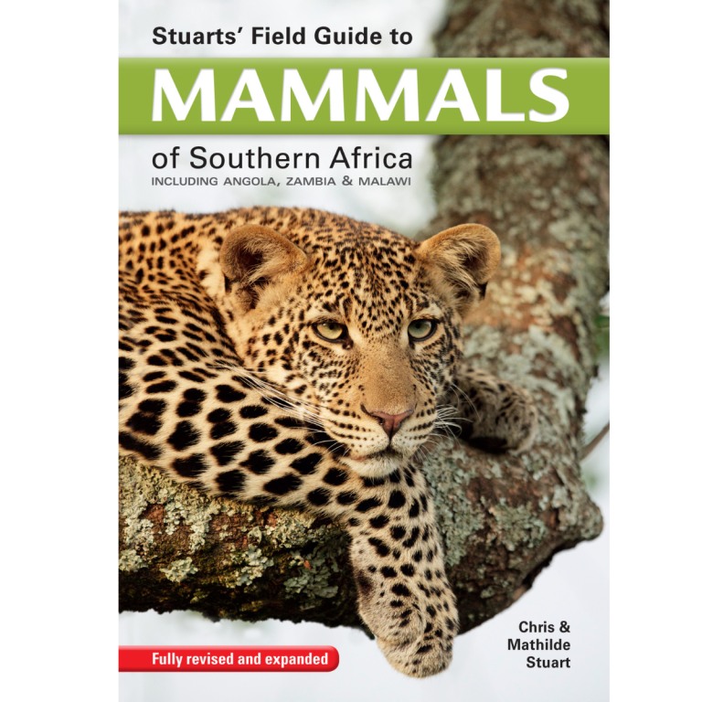 Mammals of Southern Africa Including Angola Zambia