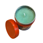 Tabard Insect Citronella Candle 240g