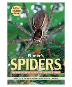 Filmer's Spider an Identification Guide